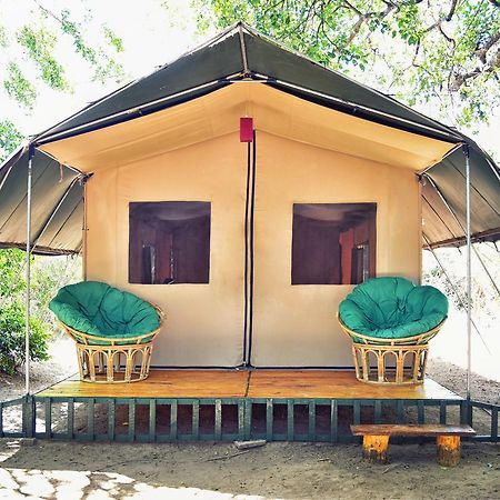 Wilderness Camping Hotell Yala Exteriör bild