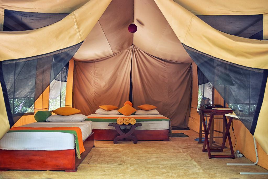 Wilderness Camping Yala Exteriör bild