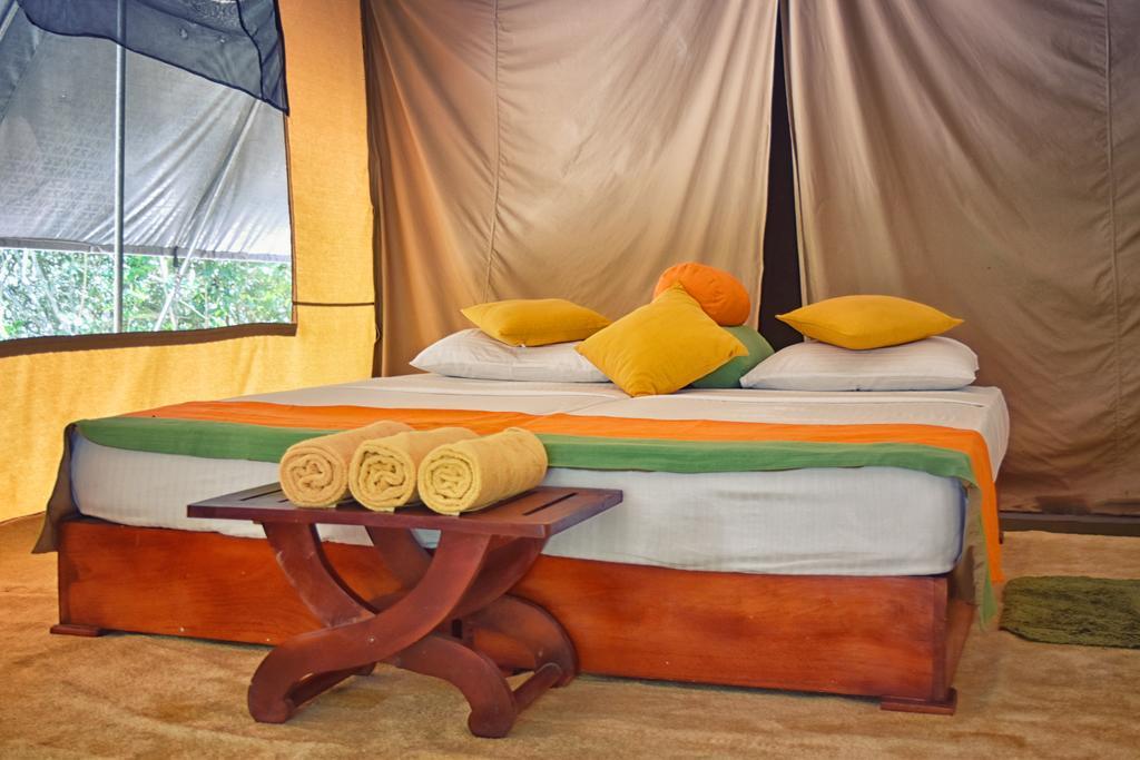 Wilderness Camping Yala Exteriör bild