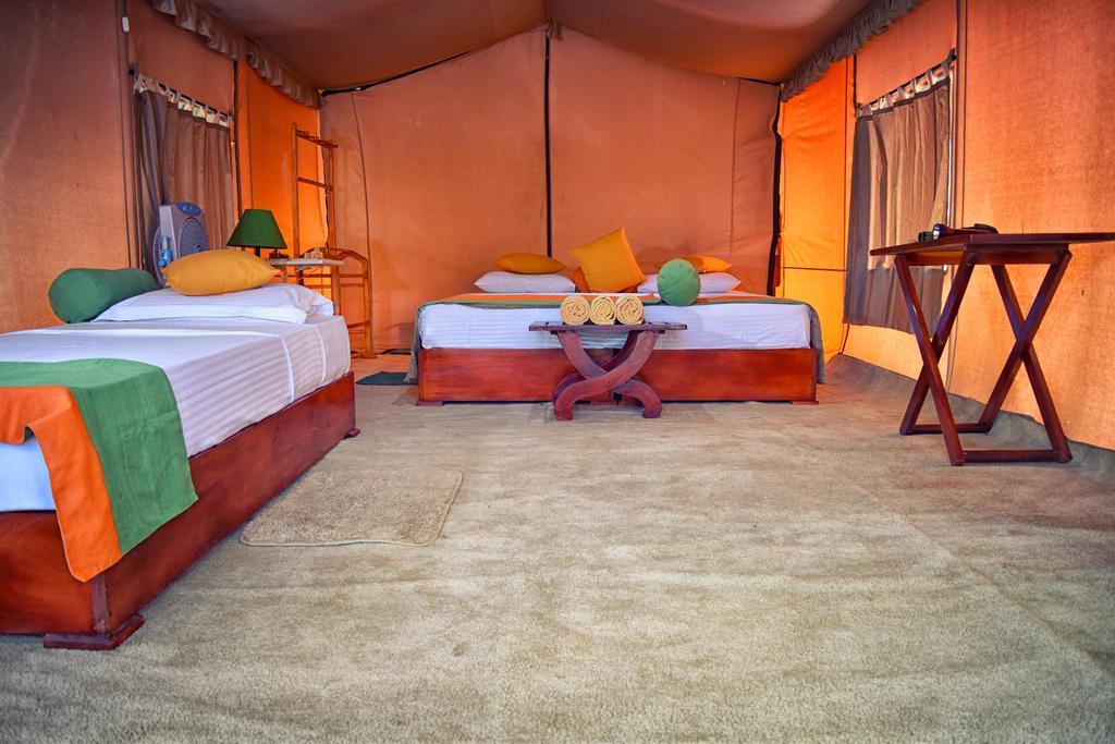 Wilderness Camping Yala Exteriör bild