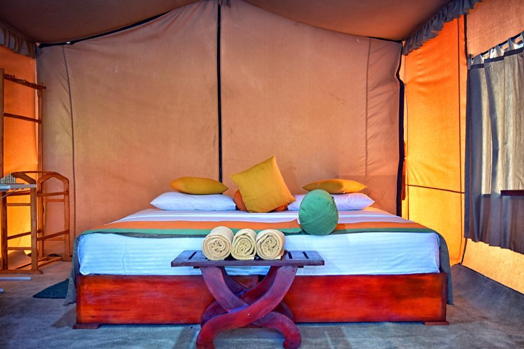 Wilderness Camping Yala Exteriör bild