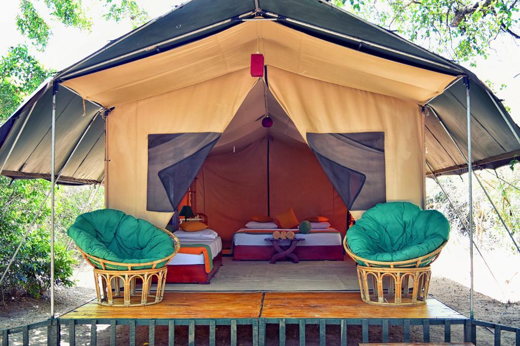 Wilderness Camping Yala Exteriör bild