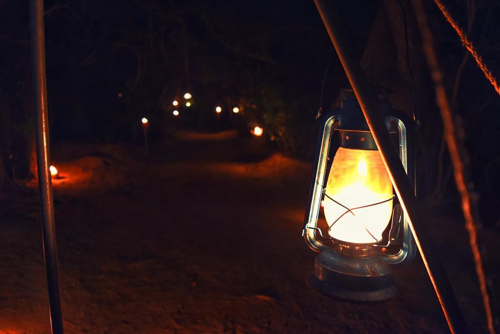 Wilderness Camping Yala Exteriör bild