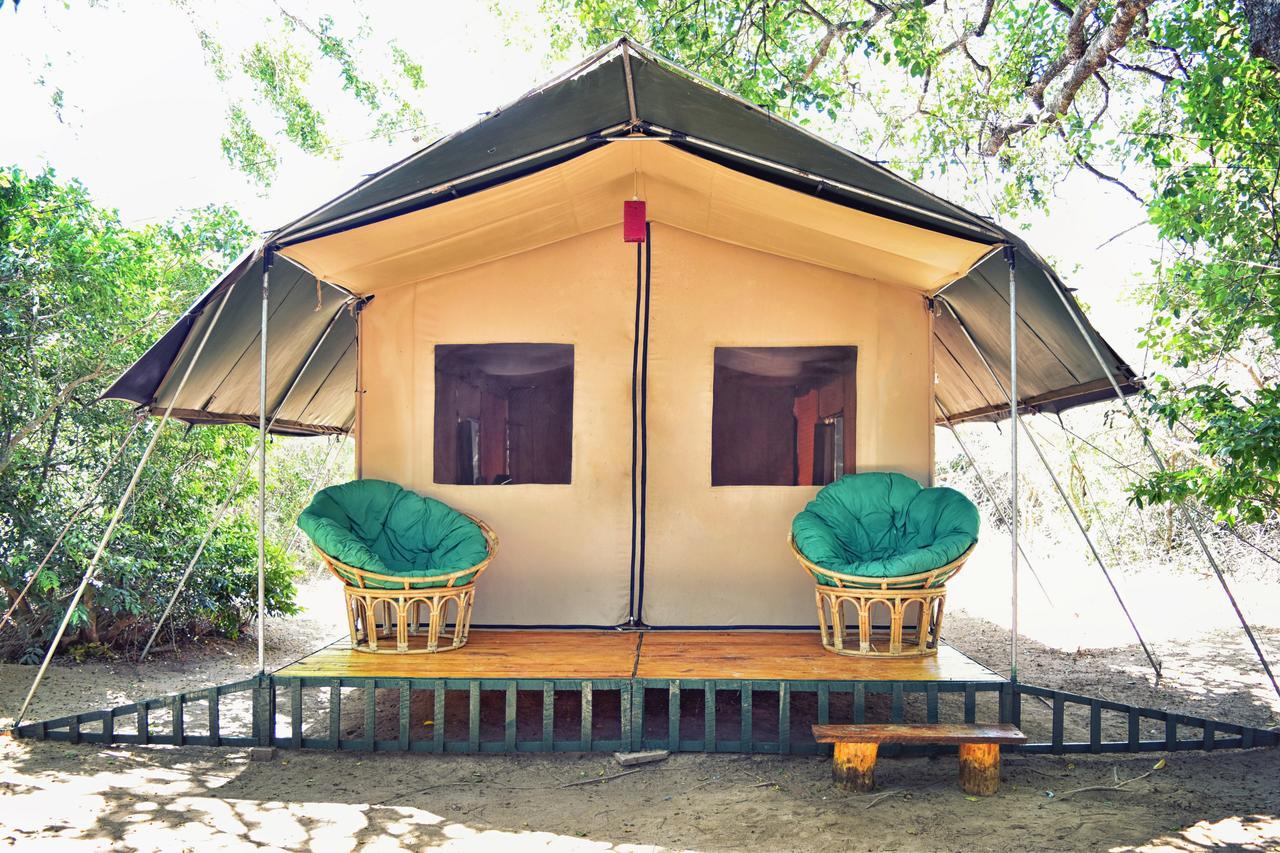 Wilderness Camping Hotell Yala Exteriör bild