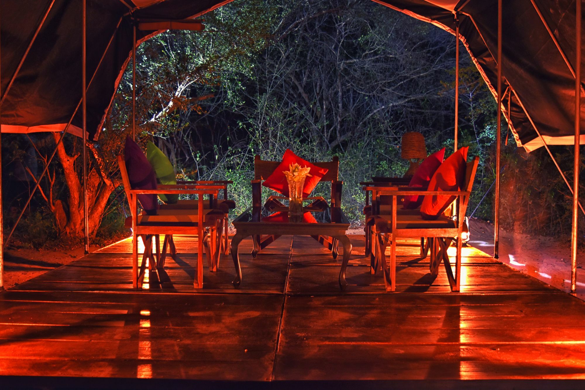 Wilderness Camping Yala Exteriör bild